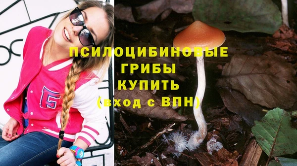 круглые Магас